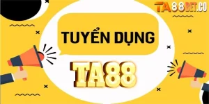 Content writer tại tuyển dụng TA88